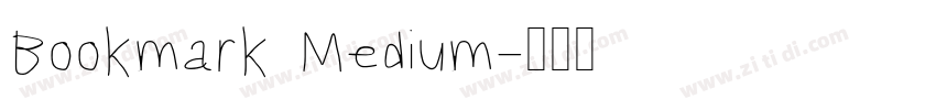 Bookmark Medium字体转换